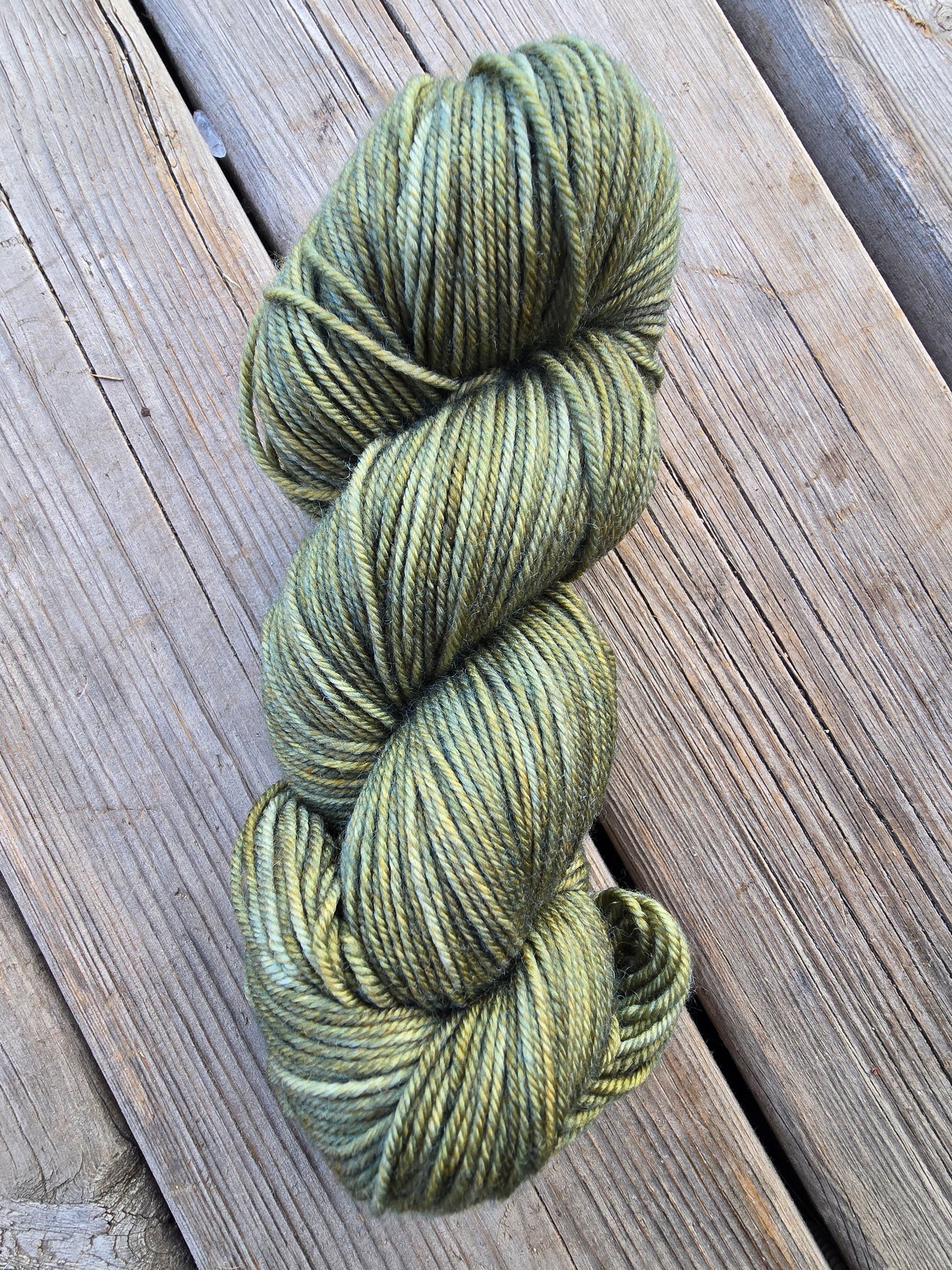 Spring Moss
