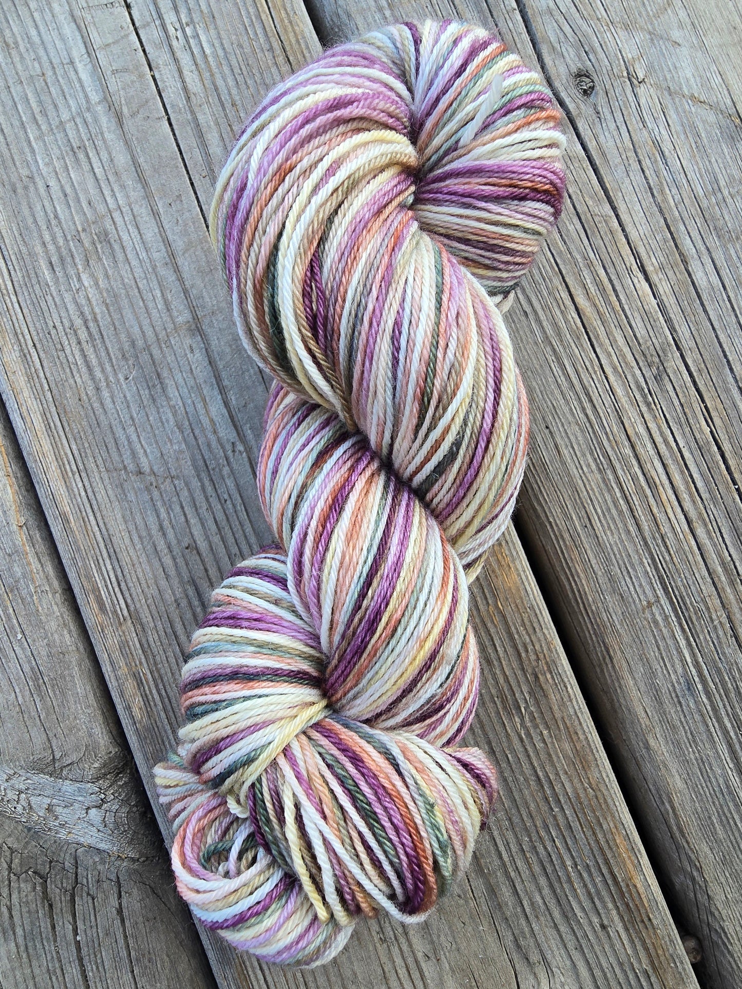 Spring Crown Variegated
