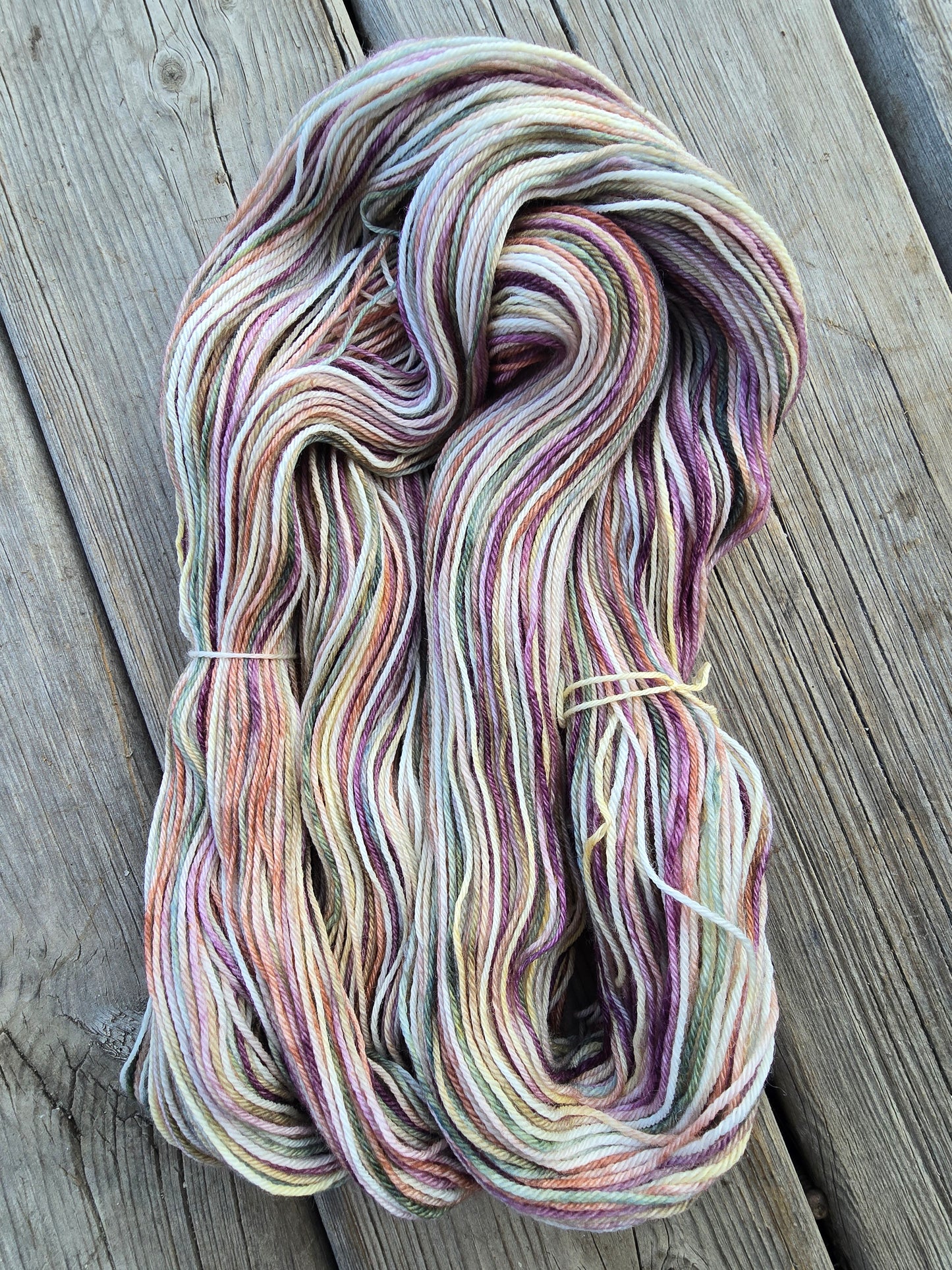 Spring Crown Variegated