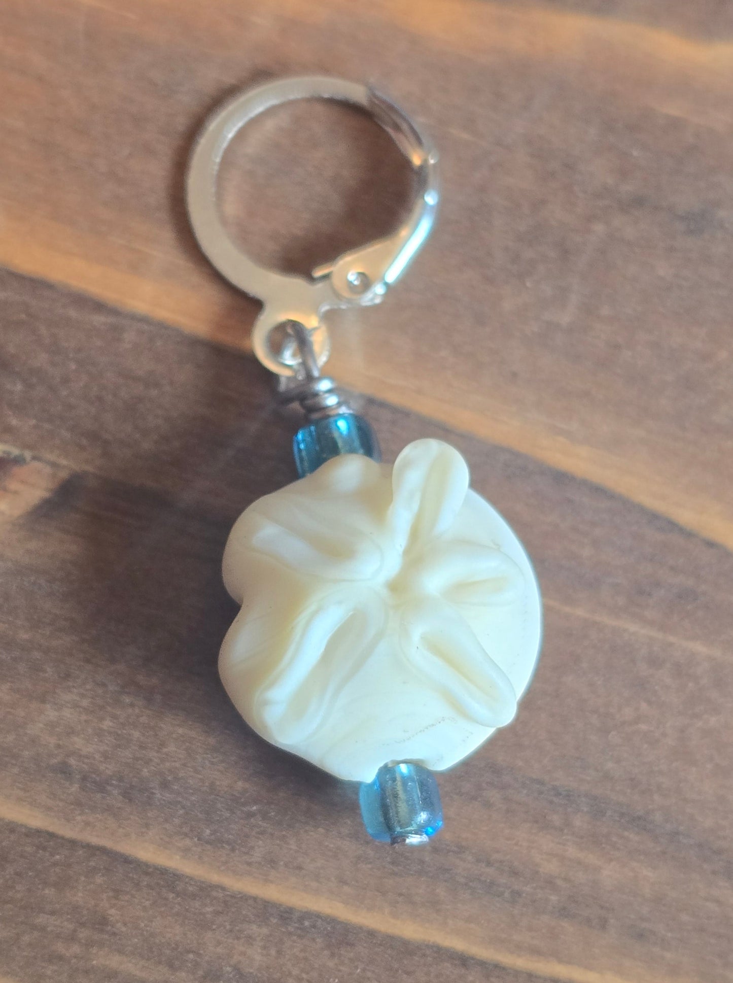 Sand Dollar